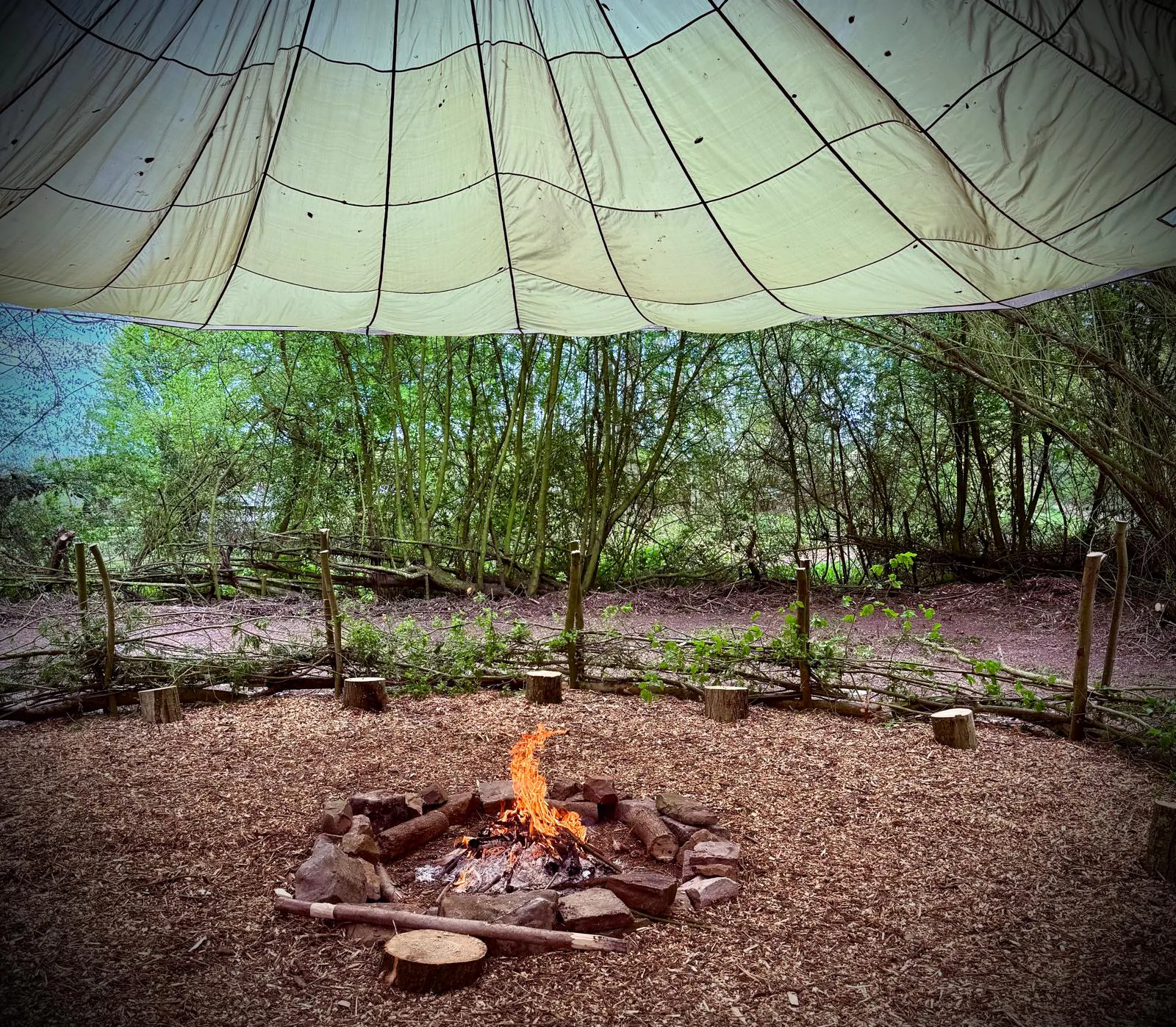 Back 2 Bear campfire and camp experience area