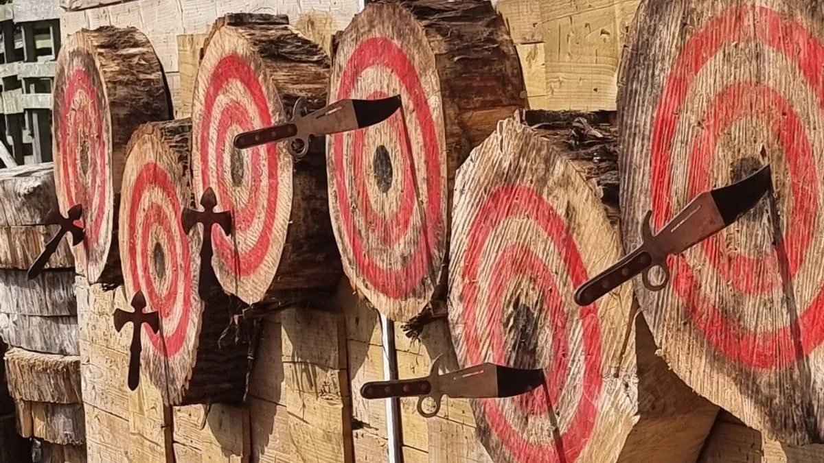 Back 2 Bear axe and knife throwing targets