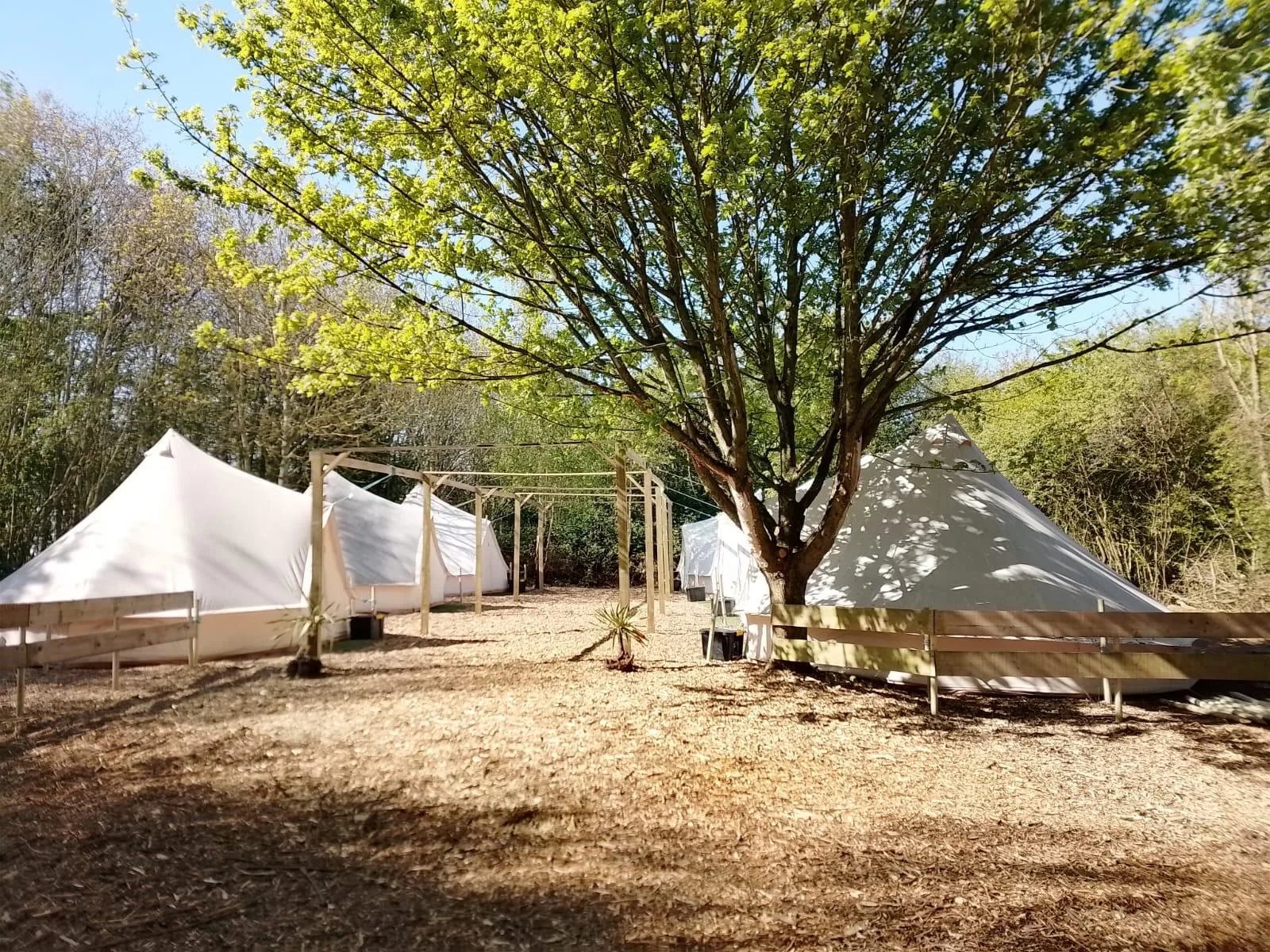 Back 2 Bear residential tents